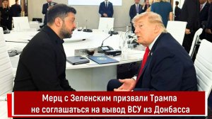 Мерц с Зеленским призвали Трампа не соглашаться на вывод ВСУ из Донбасса
