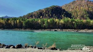 фото Горного Алтая и Исцеляющий звук поющих Чаш