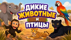 ДИКИЕ ЖИВОТНЫЕ и ПТИЦЫ! Видео для детей! Учим диких животных и птиц!