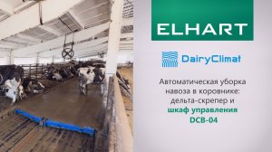 Автоматическая уборка навоза в коровнике: дельта-скрепер и шкаф управления DairyClimat