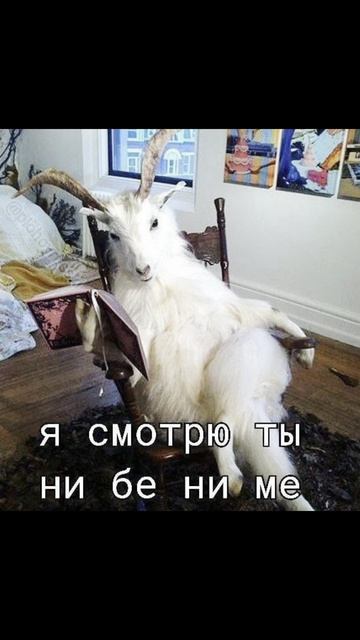 Лучший прокол, это тот который идеально впишется в ваше тело и будет радовать долгие годы #paiting