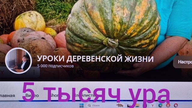 ура 5 тысяч подписчиков самых дорогих смотреть онлайн