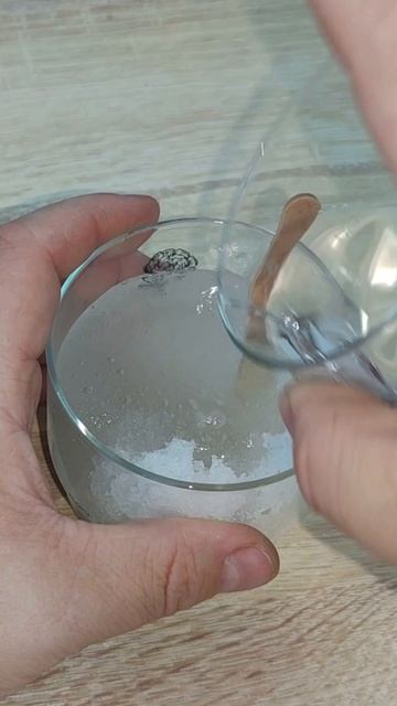Опыт ненасытный водохлëб. Костя Медведь. Эксперимент