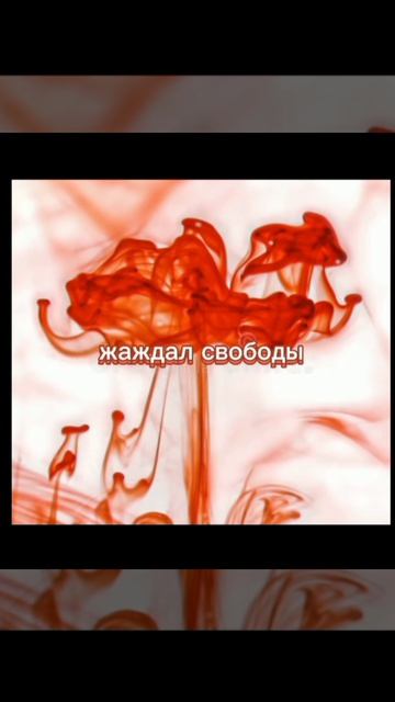 В найшниках кайф🤤
