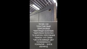 Дверь входная Тесей