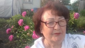 17-06-26 г.Ранее утро.Решила отдохнуть сегодня.Выйду вечером поливать.У нас жарко.