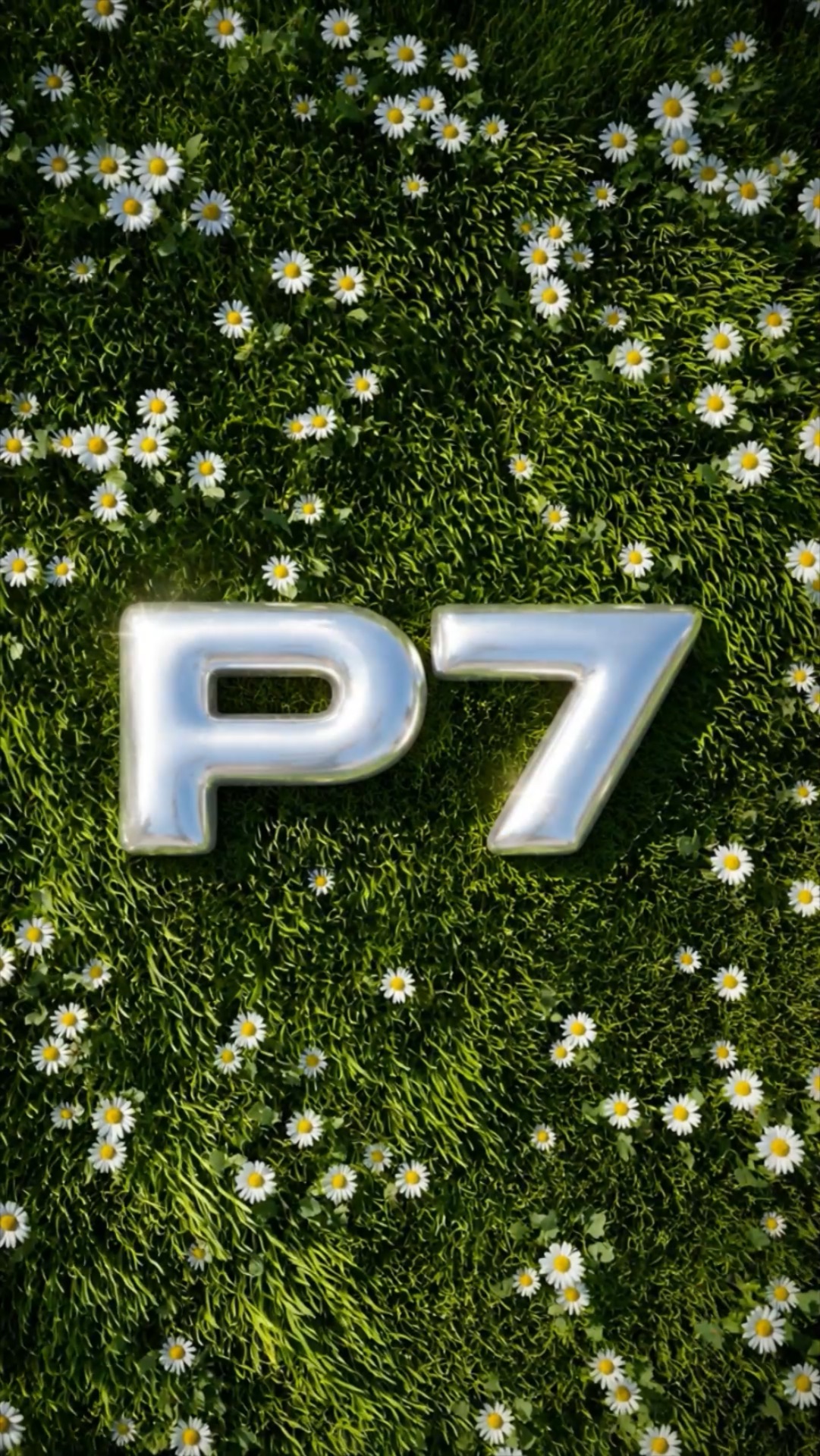 Summer P7