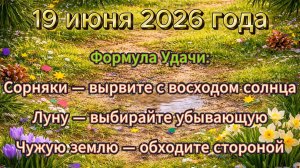 Народные приметы на 19 июня 2026 года