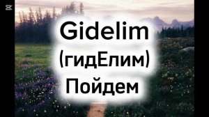 «Решим» на турецком языке / уроки турецкого языка / как сказать на турецком языке