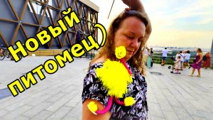 ПРИБАВЛЕНИЕ В СЕМЕЙСТВЕ) СЕСТРА ЗАВЕЛА СТРАУСА! МОСКВА. ИЮНЬ 2026.