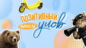 Красивый шторм и вежливый медведь. «Позитивный улов»