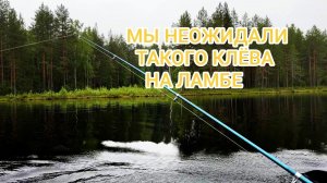 Мы не ожидали такого клева на ламбе!!!| Рыбалка 10 RU