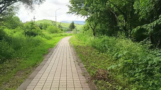 Тут природа супер 👍 Горы и озеро🍀🌺💧 Изучаем окрестности рядом с домом🏠 смотреть онлайн