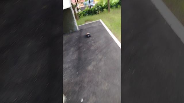 скилл тест на машине на пульте управления задачи смотреть онлайн