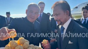 «Чтобы попробовать чак-чак»: султан Брунея прибыл в Казань на саммит Россия – АСЕАН