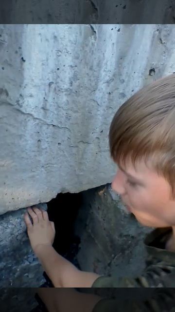 нашли заброшенный бункер прямо перед моим домом смотреть онлайн