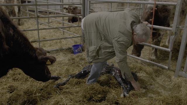 Ферма Кларксона - 5 сезон, 5 серия (2026) / Clarkson's Farm