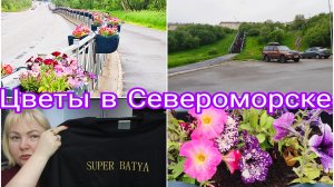 17-06-2026 Результат экзамена * Североморск в цветах * Футболка для бати 😁