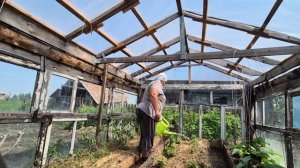 локомотив пока занят огородными делами,чтобы начать работы в летней кухне🤔