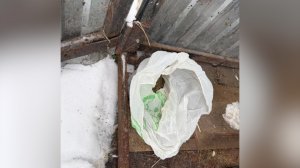 Наркотики в уборной
