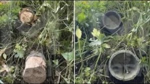 Долиной залили трубы монтажной пеной чтобы не загрязняла ручей в Подмосковье