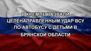 В Кремле назвали целенаправленным удар ВСУ по автобусу с детьми в Брянской области