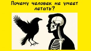 Почему человек не умеет летать как птица ?