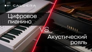 Caldera F20 и Yamaha S6 — сравнение цифрового пианино с акустическим роялем