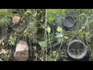 Долиной залили трубы монтажной пеной чтобы не загрязняла ручей в Подмосковье