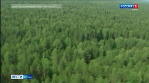 В Коми обнаружен след гигантского смерча