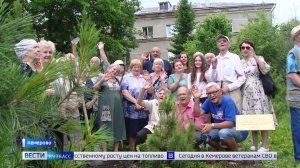 На территории ГТРК «Кузбасс» высадили два памятных кедра