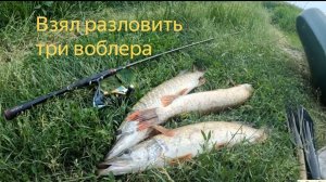 Пробую новые воблеры по щуке - поклевки на втором забросе