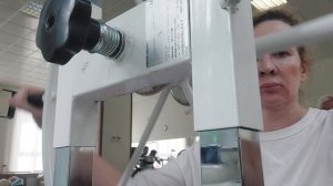 органы дыижения 2