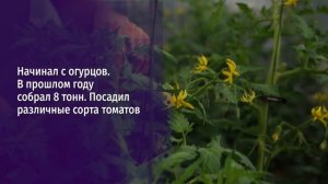 Одним из перспективных направлений развития бизнеса в регионе остаётся сельское хозяйство