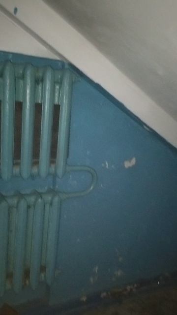 VID_20260612_135251039