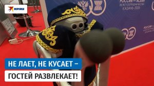 Робопёс встречает гостей на саммите Россия – АСЕАН