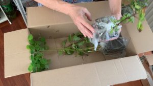 Снова накупила! Распаковка