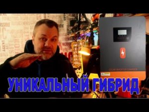 Мощный гибридный инвертор на 12 и 24 вольта сразу для солнечных панелей и на рост
