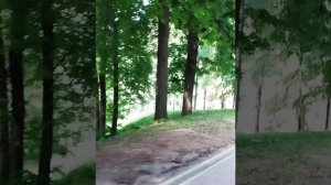 Дворцово-парковый ансамбль - Музей-заповедник «Царицыно»  12.06.2026. часть 2.