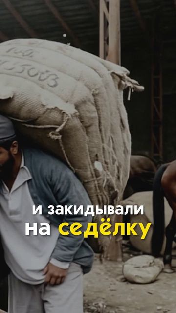 Забытая профессия Самары: крючники