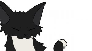 maxwell cat