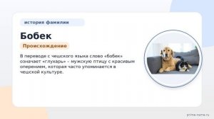 Фамилия Бобек: происхождение, значение и склонение