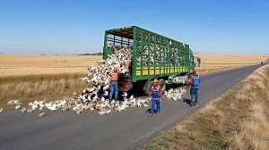 Самые нелепые ошибки рабочих снятые на камеру.