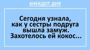 Сегодня узнала, как у сестры подруга вышла замуж. Захотелось ей... | Анекдоты смешные | Юмор