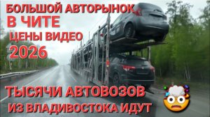 БОЛЬШОЙ АВТОРЫНОК В ЧИТЕ, ЦЕНЫ  ВИДЕО 2026