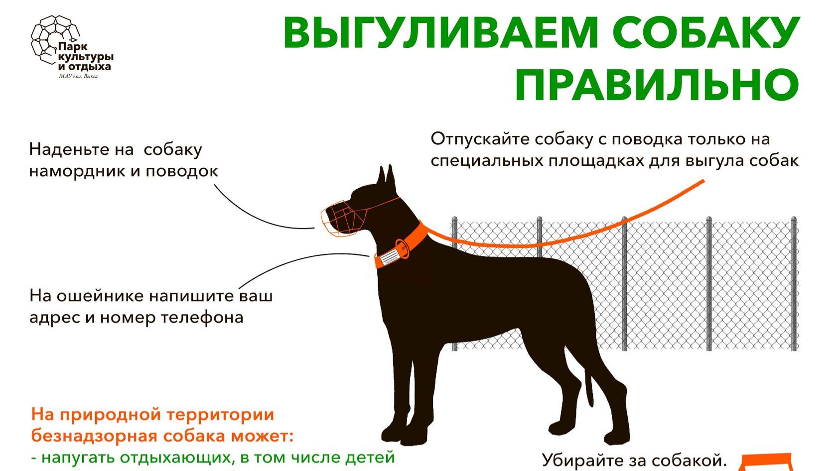 ПИФы, доверительное управление и инвестиционное консультирование: рекомендации ведущих собаководов смотреть онлайн