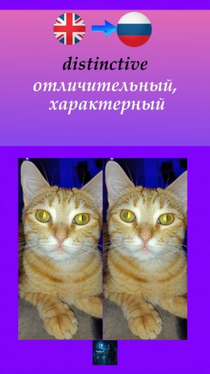 Котейка| Английский B2 (часть 9)  Sweet kitty | B2 English Vocabulary (p-t9)