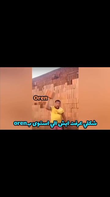 The Man threw a Brick (By Oren)