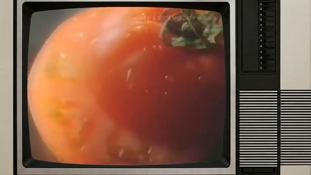 SUMMER LOCAL FORECAST 1989 ⧸⧸ Weather Channel Vaporwave VHS Nostalgia Mix смотреть онлайн