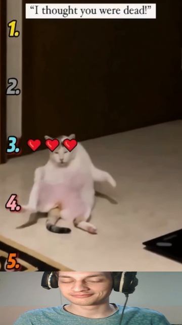 Спящие Коты